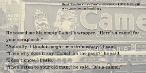 Camel's wrapper